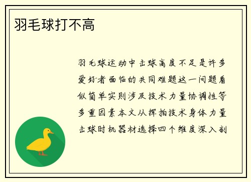 羽毛球打不高